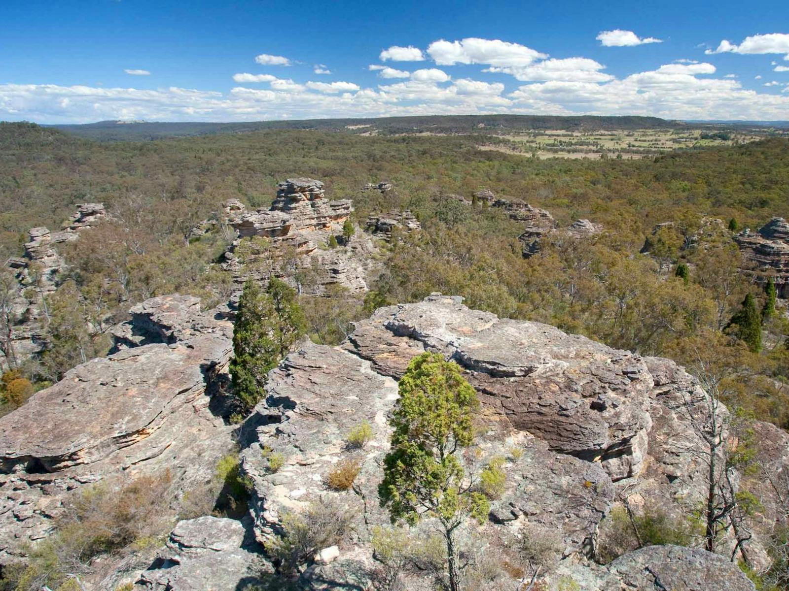 Castle Rocks 步道，Munghorn 自然保护区。照片：尼克·库宾/新南威尔士州政府