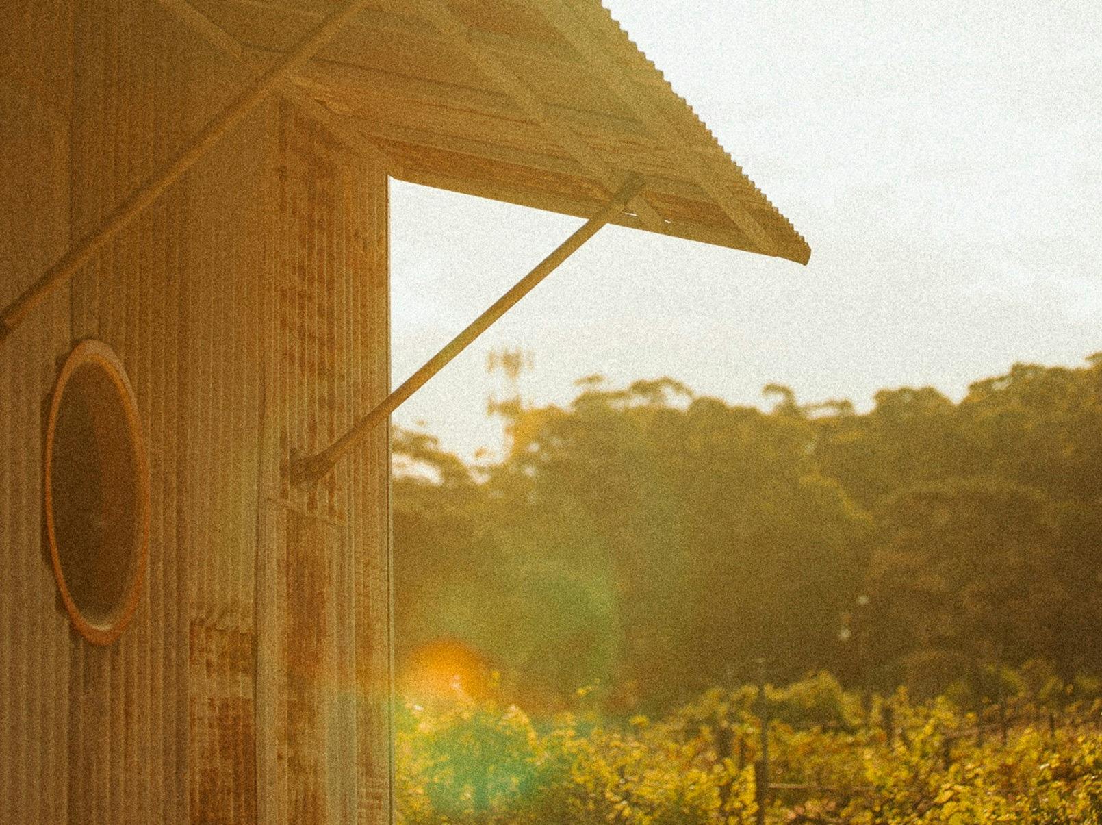 Sally the Skywatcher at B Farm by Murrays