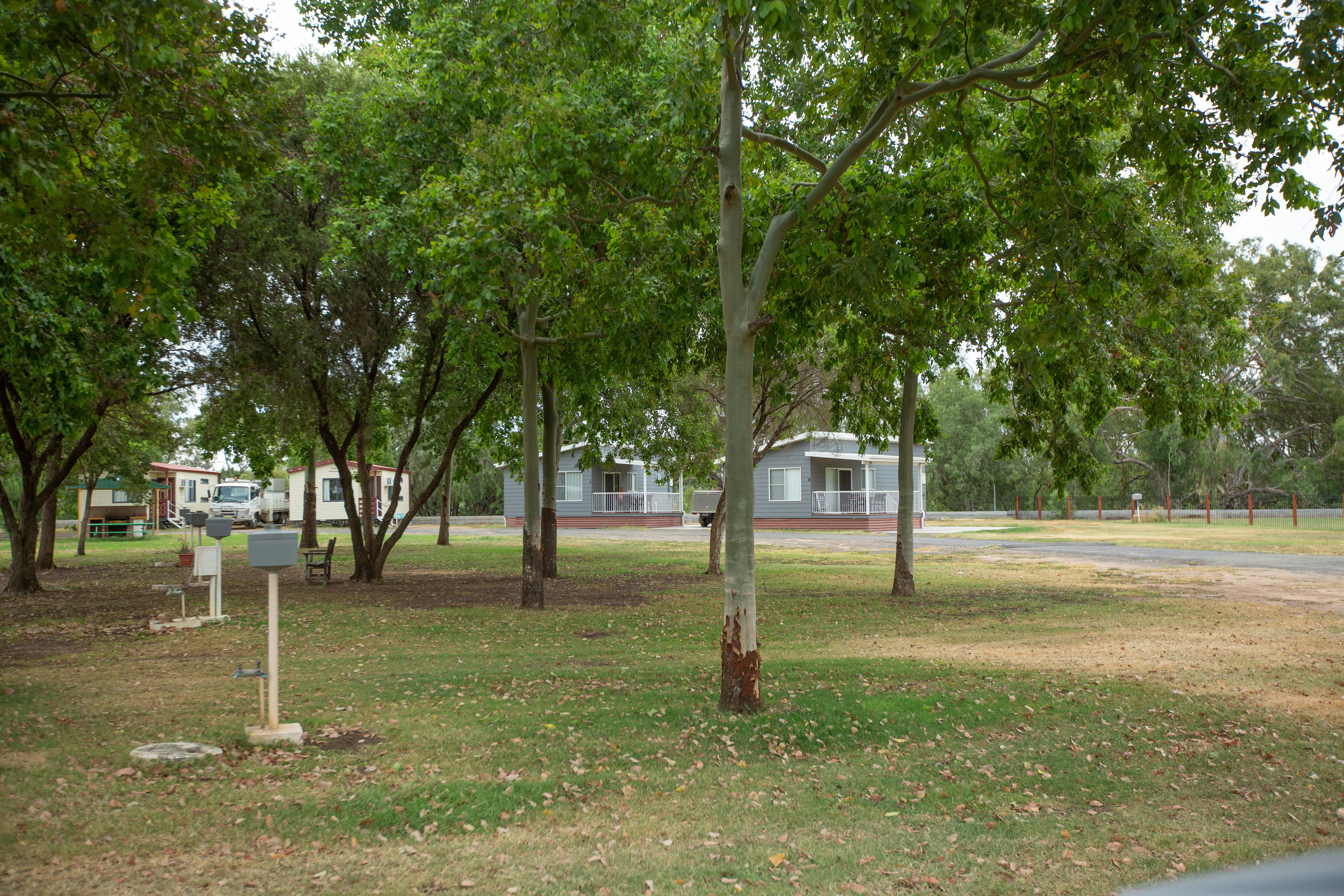 View across the powered van sites to the Deluxe Cabins
