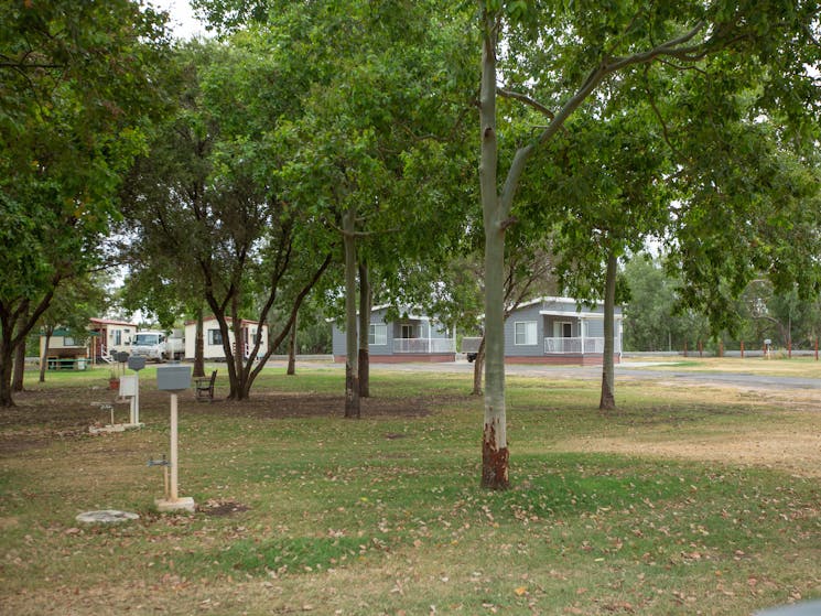 View across the powered van sites to the Deluxe Cabins