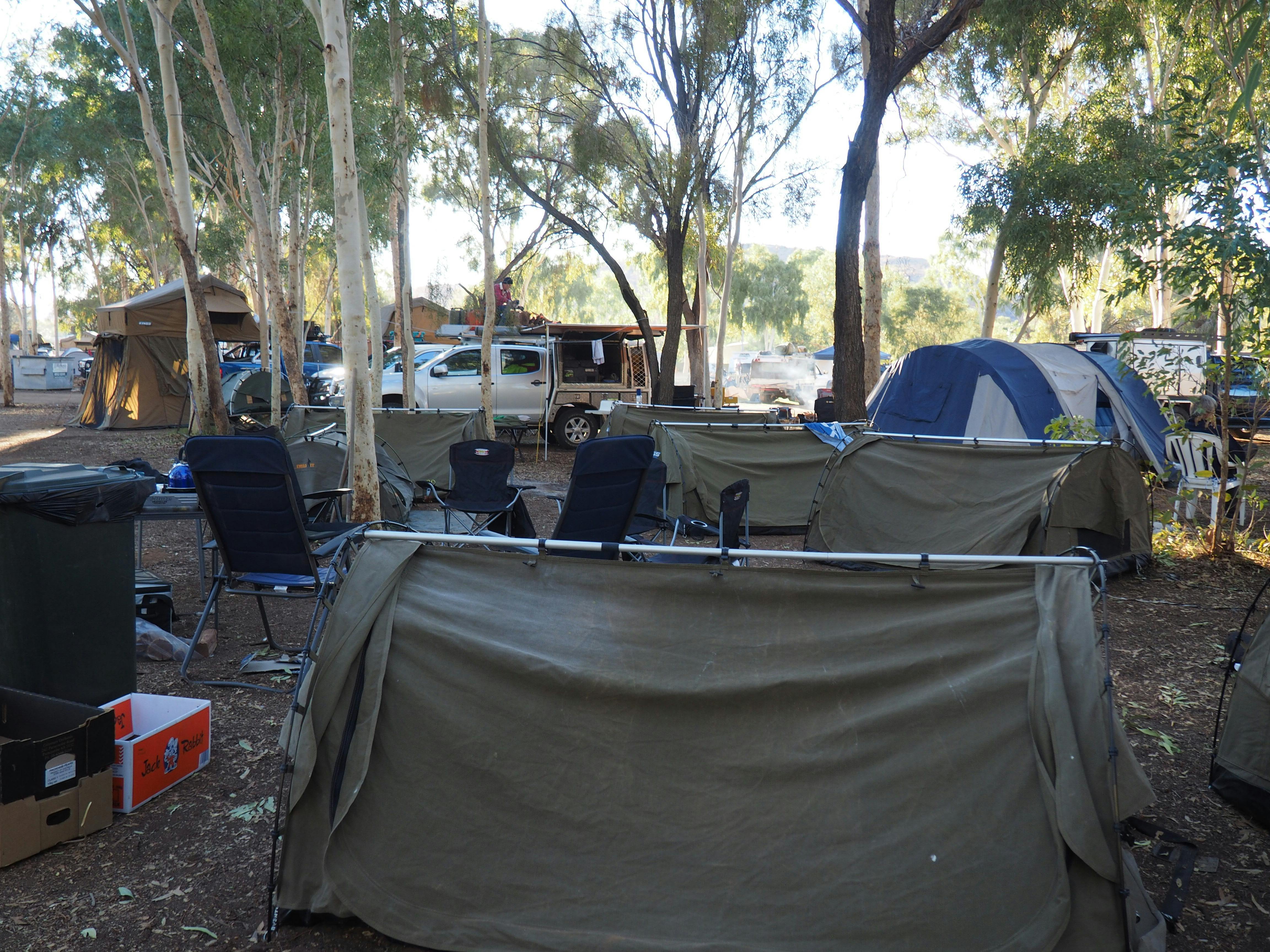 Bush camping under the lemon scented gums.