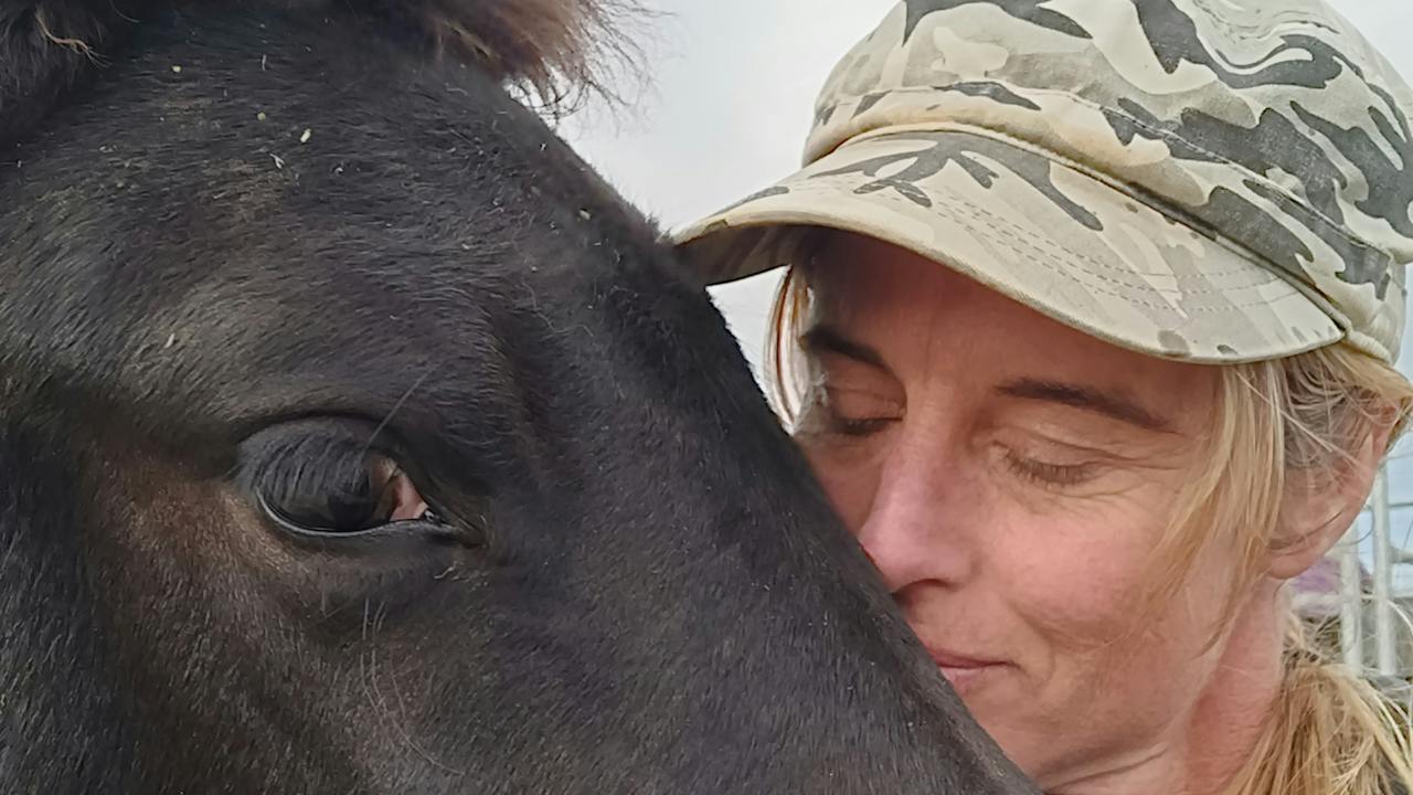 Equine Fusion Experiences