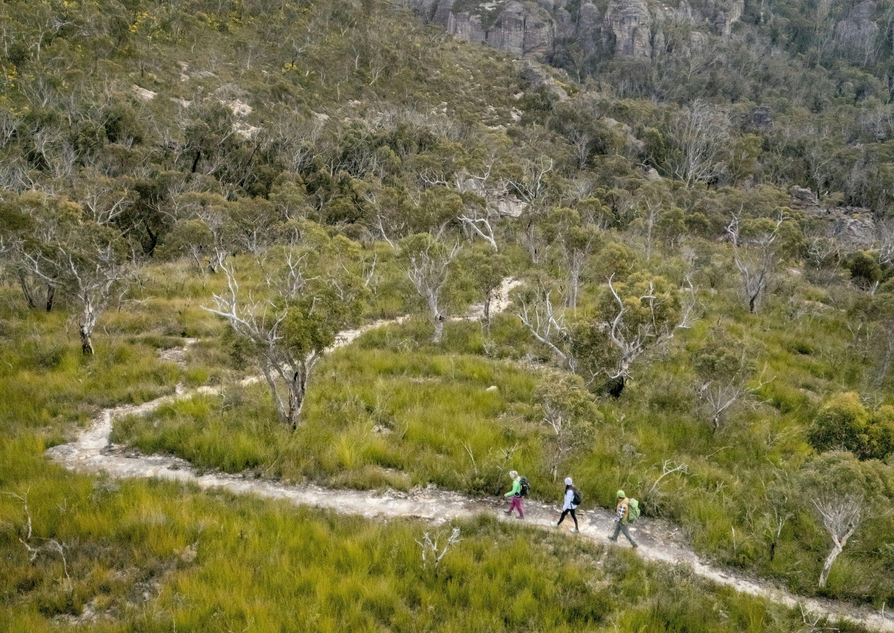 从布罗德沼泽到鸟岩的步行道