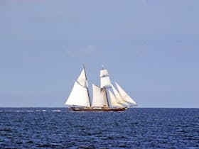 Jemima Magor: Emigrant to Pauper's Grave