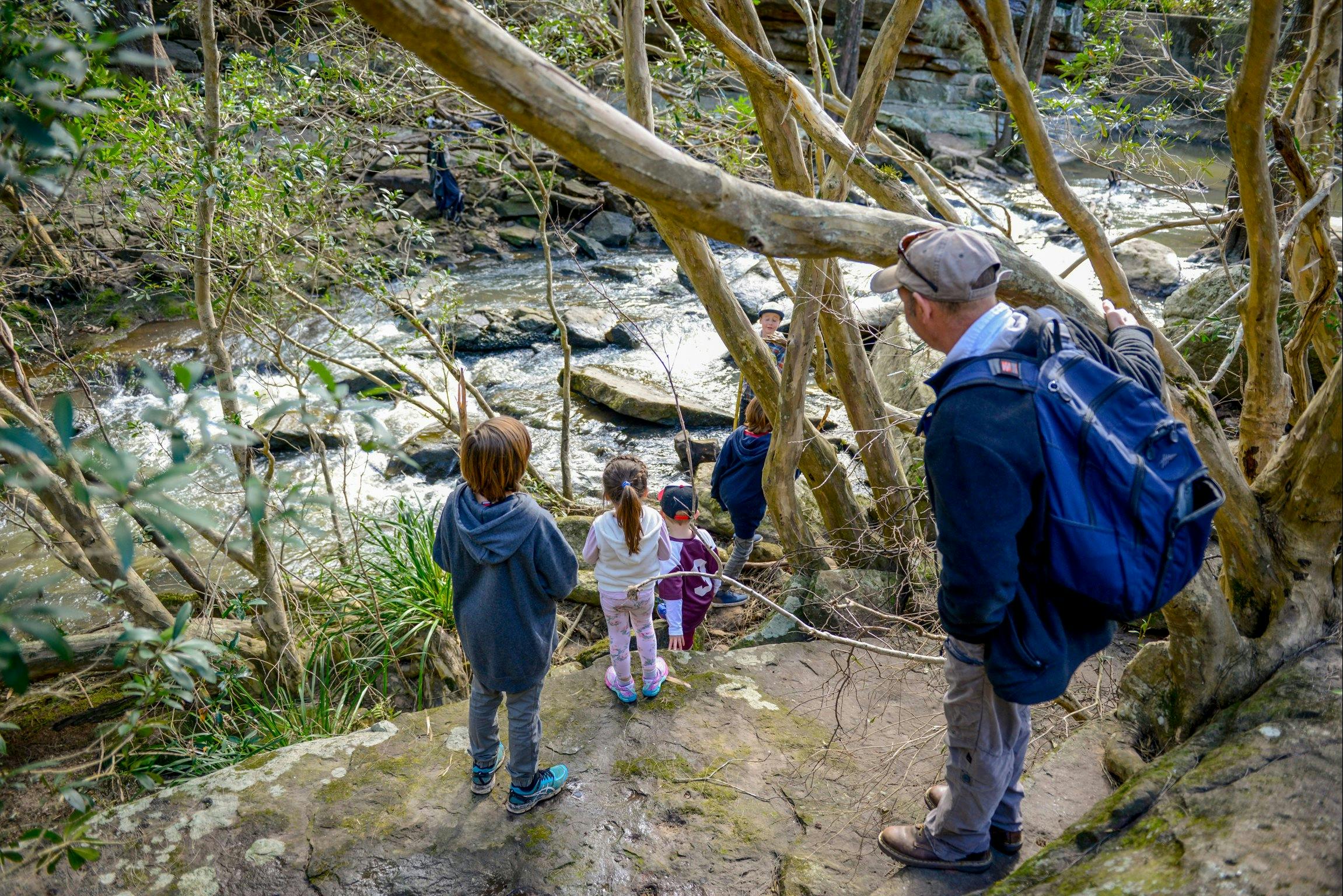 Bomaderry Creek Bushwalk Shoalhaven