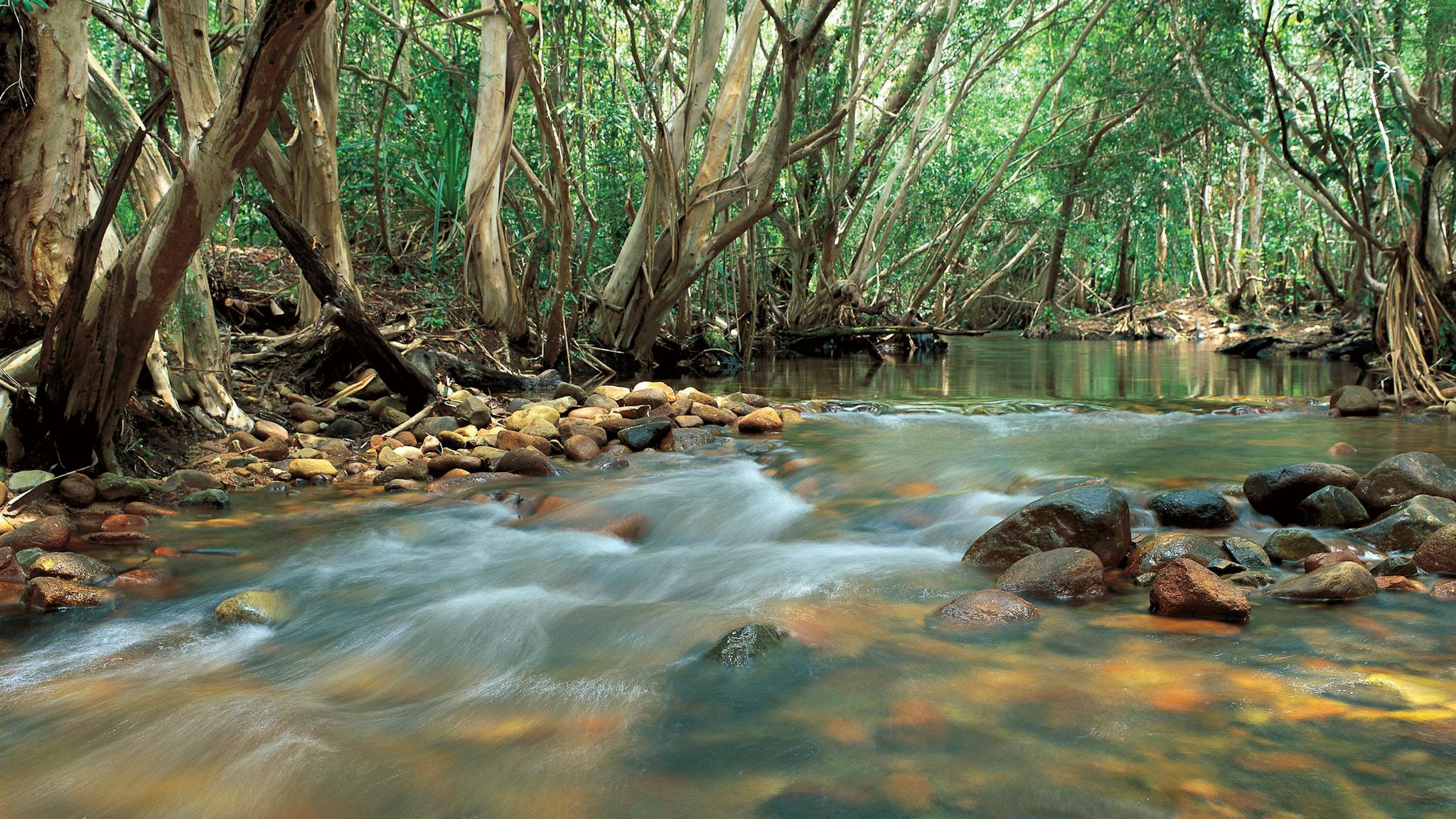 Water flowing over rocks. Water flowing over rocks.
