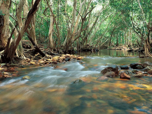Tully Gorge National Park