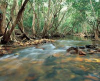 Water flowing over rocks.