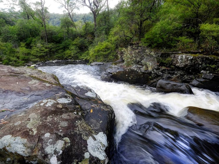 Manning River