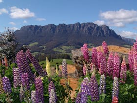 AAA Granary Accommodation - The Last Resort