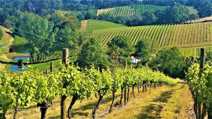 Adelaide Hills Half Day Tour departs 130pm returns 5pm