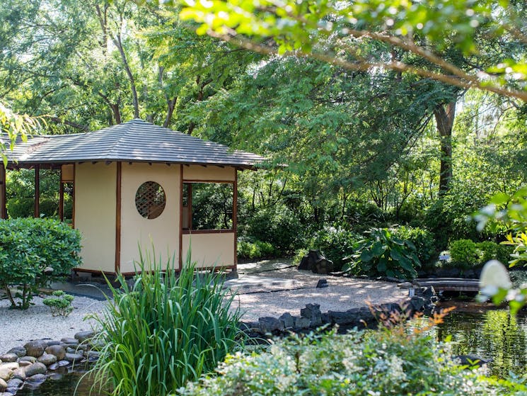 A japanese tea house in the Japanese garden at Campbelltown Arts Centre