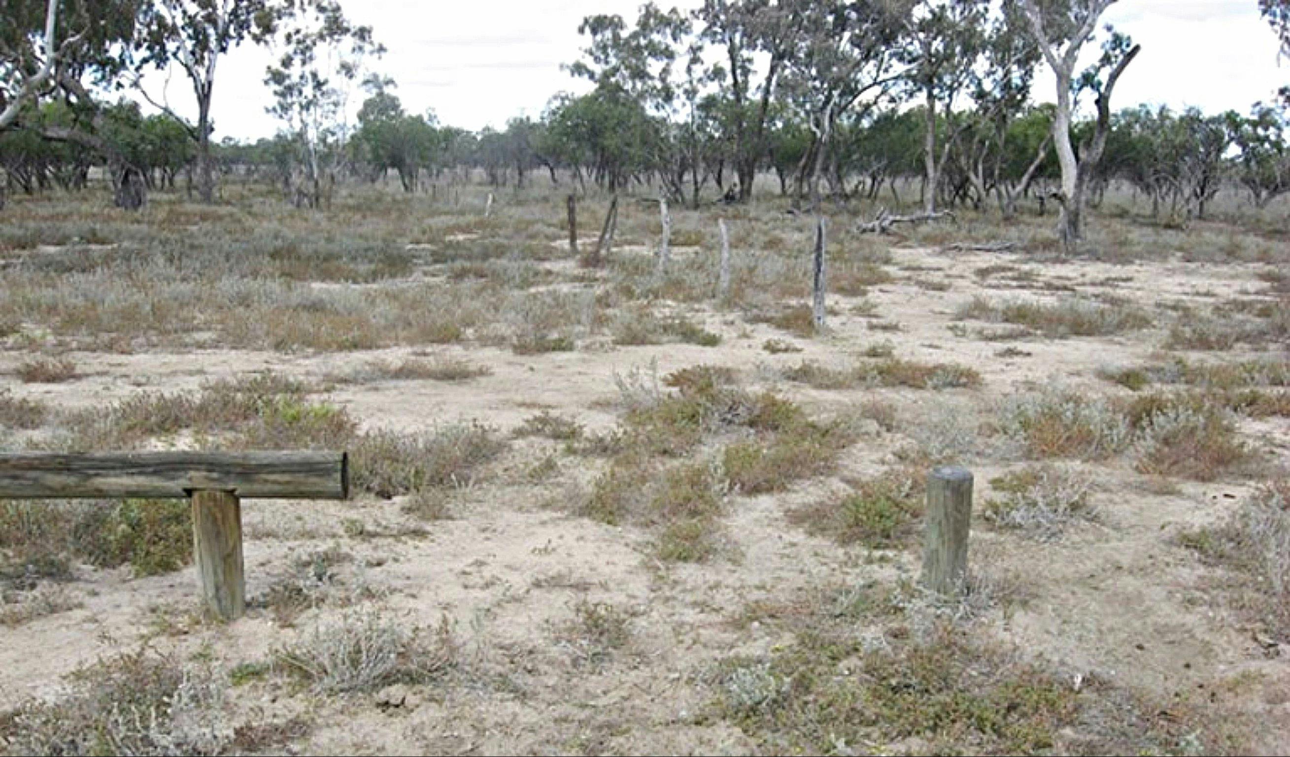 Culgoa Connelly's track, Culgoa National Park. Photo: D Haskard/NSW Government