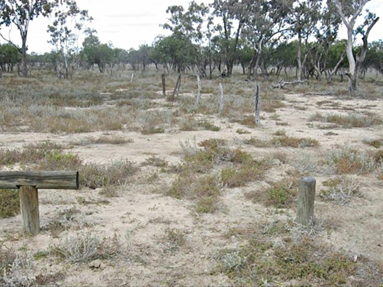 Culgoa Connelly's track, Culgoa National Park. Photo: D Haskard/NSW Government
