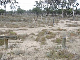 Culgoa Connellys Track