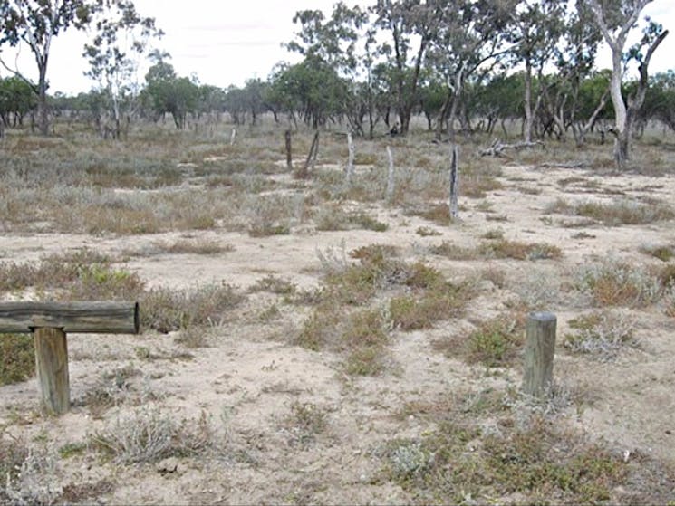 Culgoa Connelly's track, Culgoa National Park. Photo: D Haskard/NSW Government