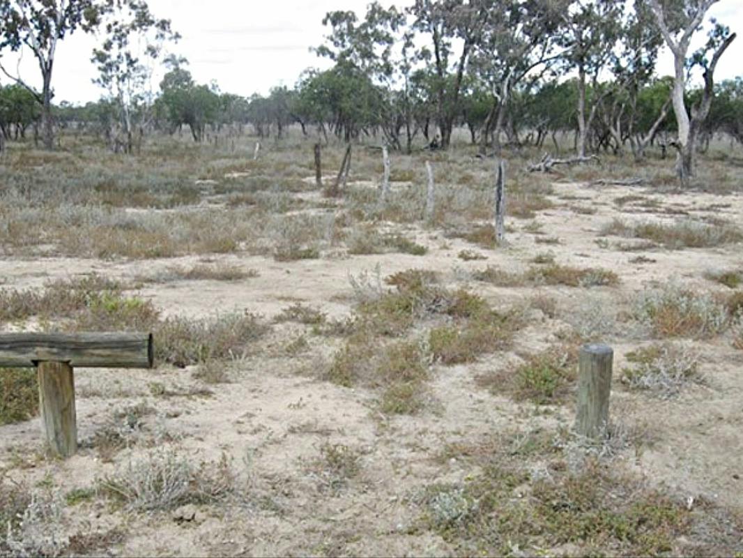 Culgoa Connellys Track