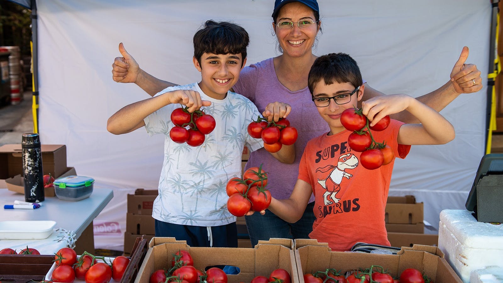 Farm Gate Market Hobart Tasmania Fresh Flavour Farm tomatoes