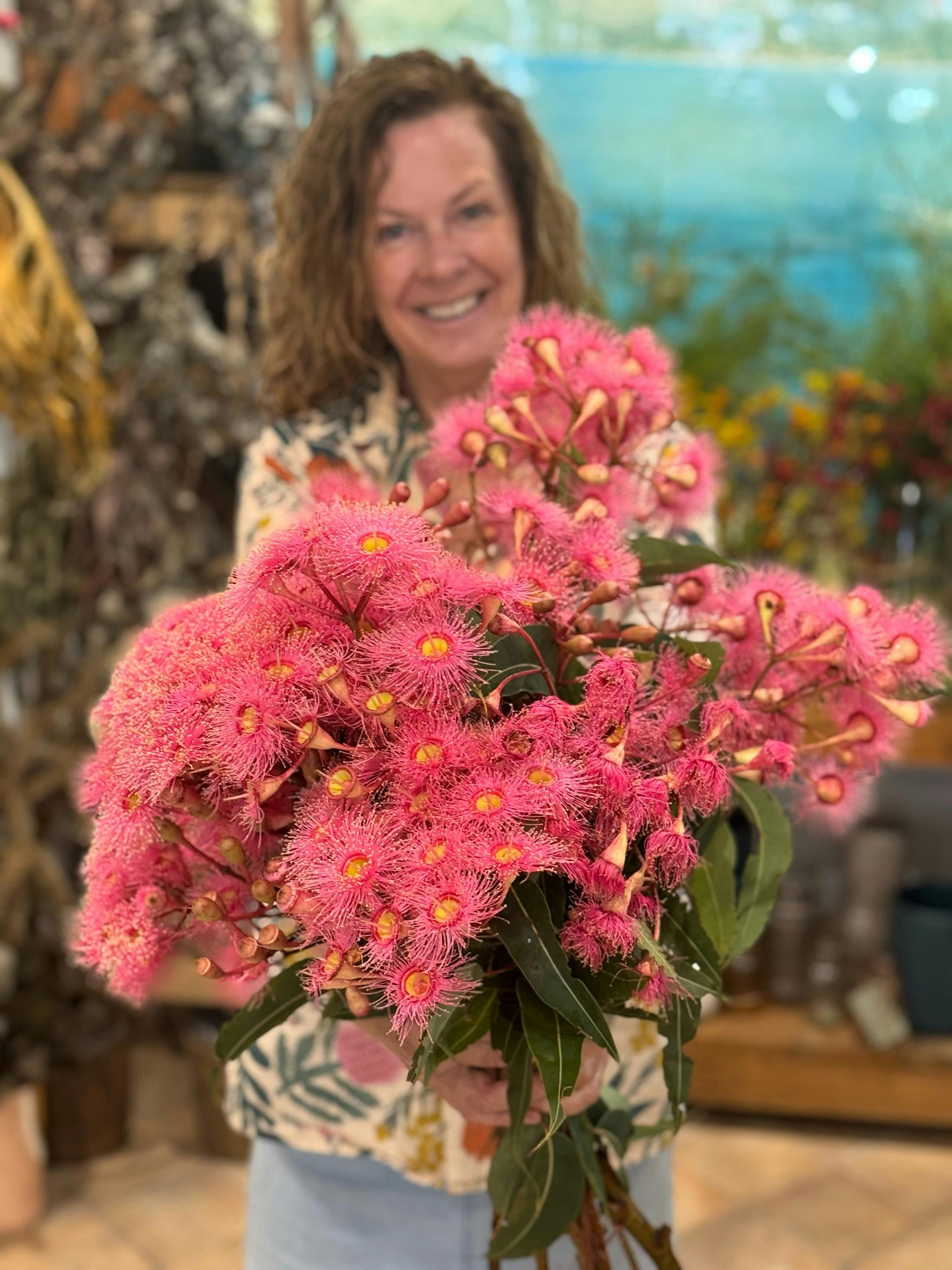 Hanging Rock Flowers grow their own natives