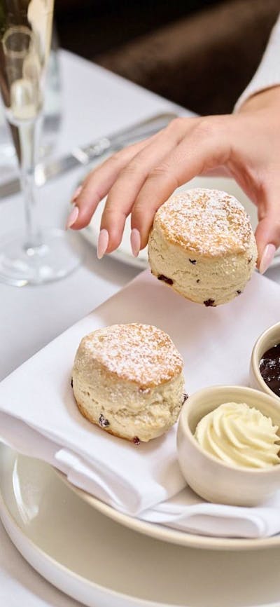 Scones at The Tea Lounge