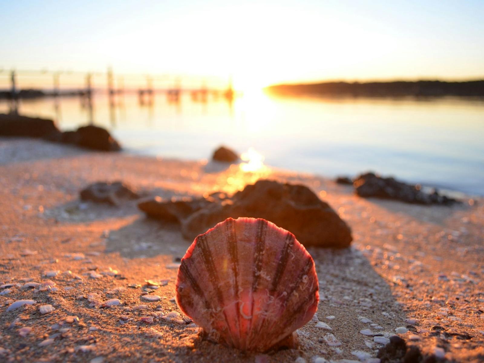 Image for Coffin Bay - A Day On The Bay