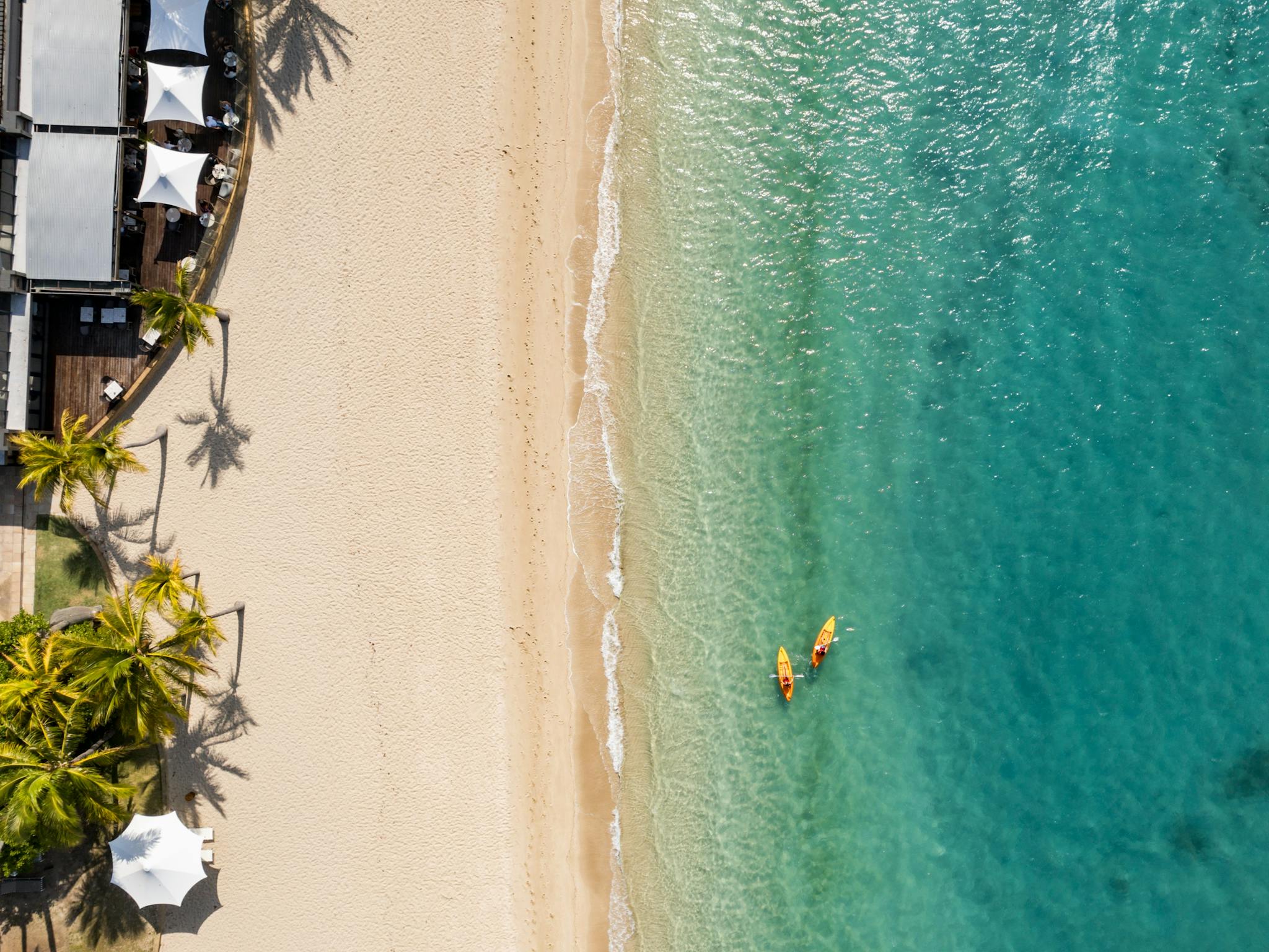 Aerial view of a sandy beach, turquoise water, palm trees, and two kayakers near the shoreline. Aerial view of a sandy beach, turquoise water, palm trees, and two kayakers near the shoreline.