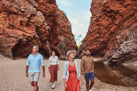 1 Day West MacDonnell Ranges Tour