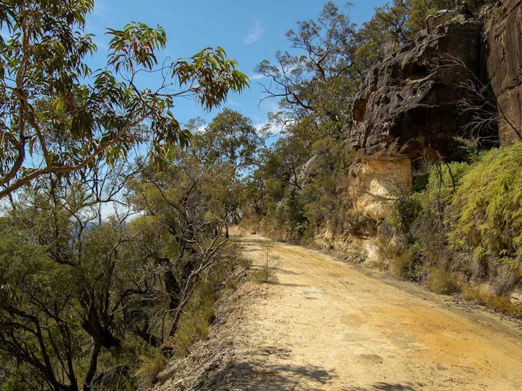 Womerah Range trail, Parr State Conservation Area. Photo: Susan Davis/NSW Government