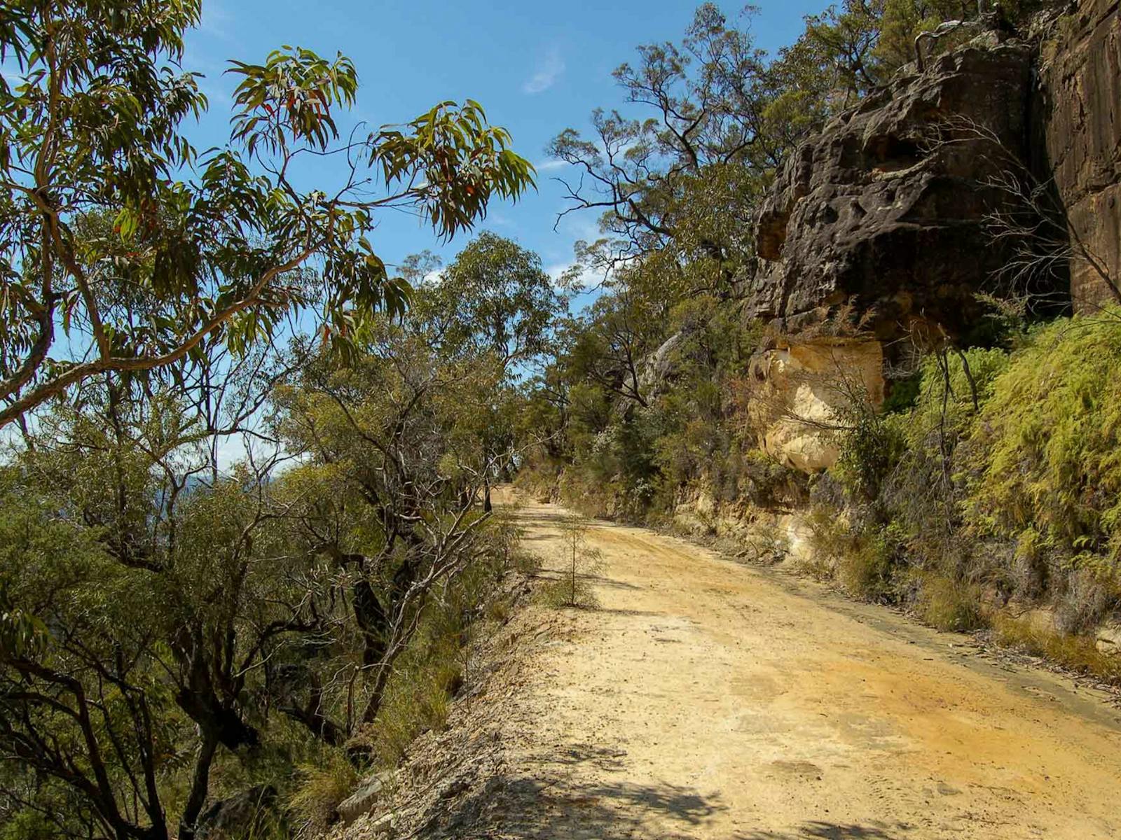 Womerah Range 트레일, Parr State Conservation Area. 사진: Susan Davis/NSW 정부