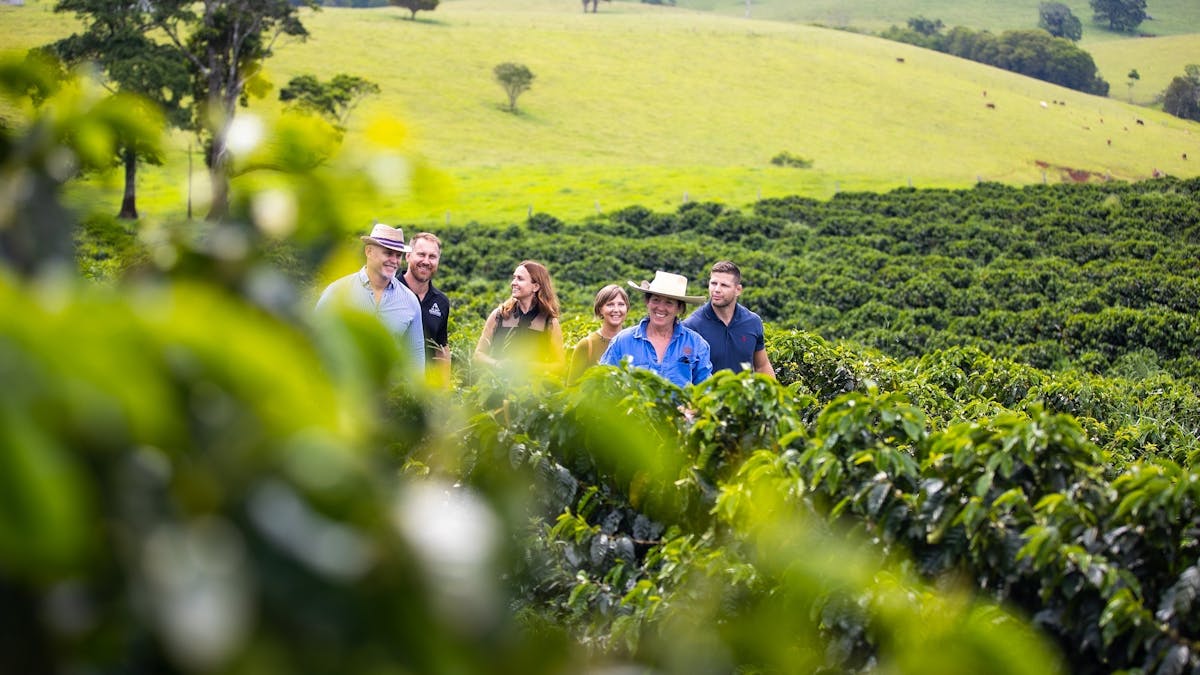 Cairns Tasting Tours