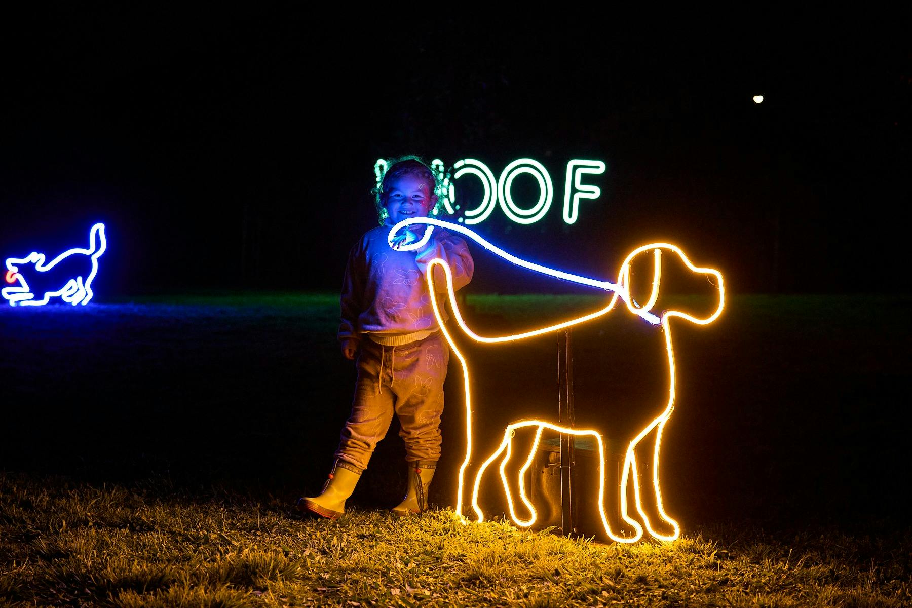 Illuminate Paws Walk