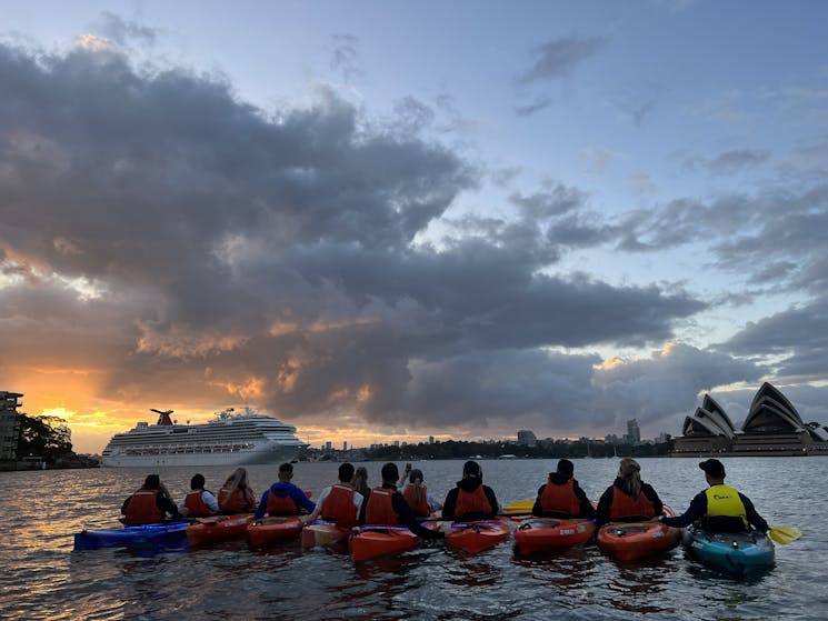 a team of kayakers line up to see the sun rise in Sydney Harbour