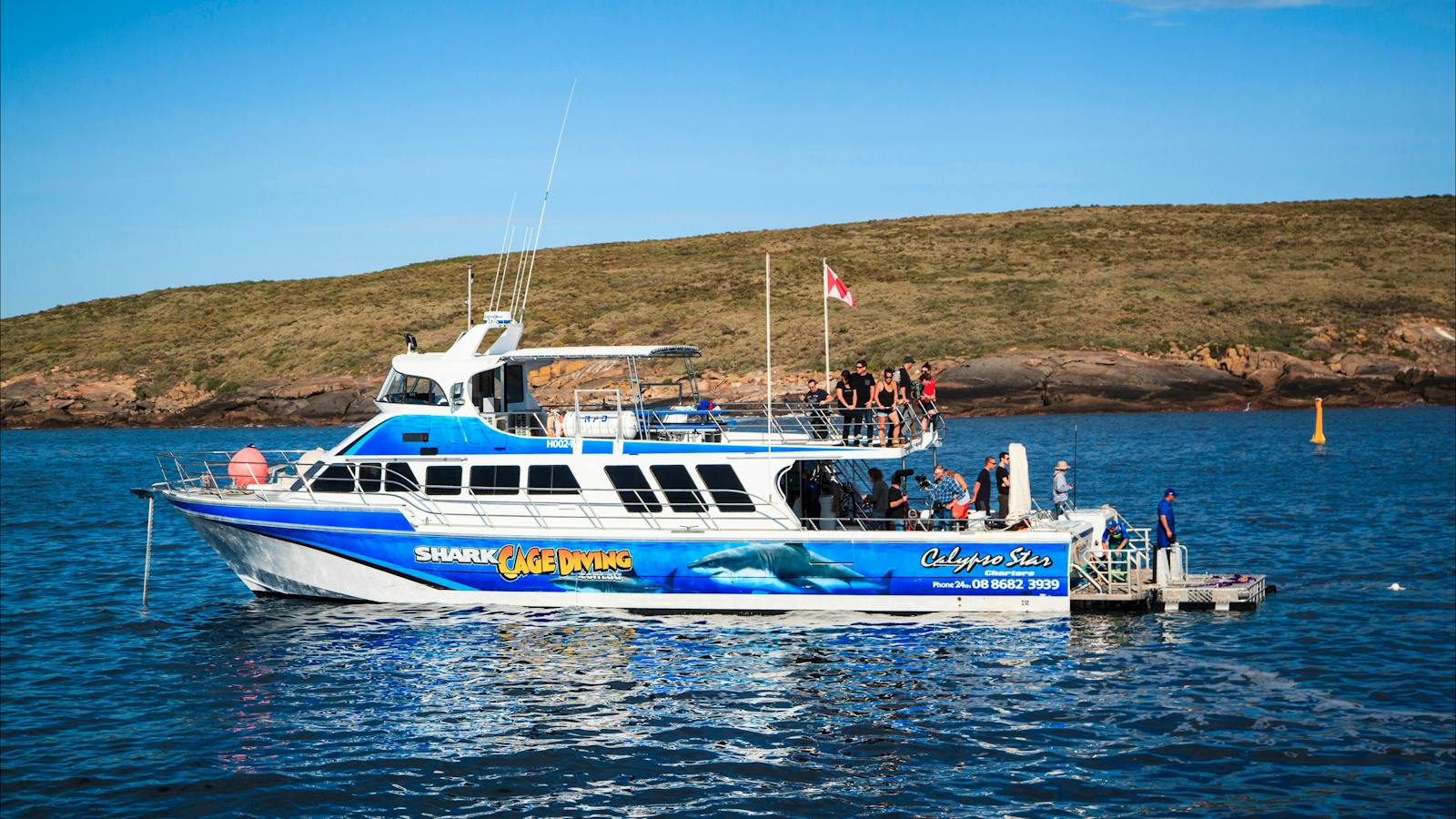 Calypso Star Charters