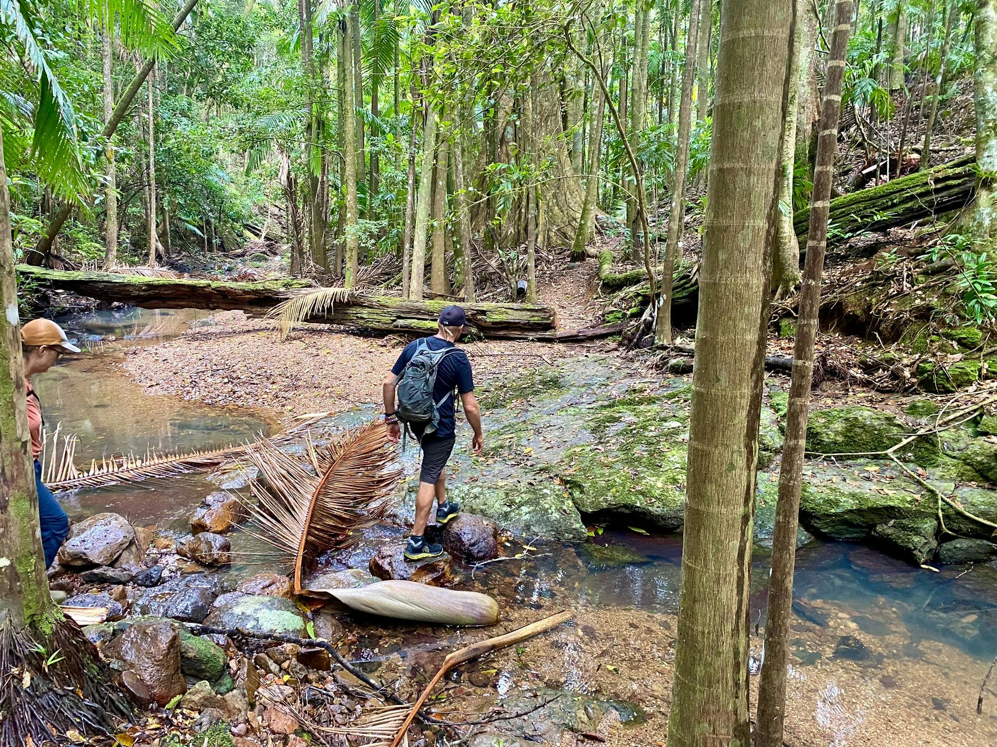 기주움 굴가니 워크의 위스키 크릭