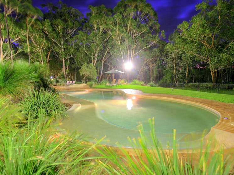 Port Stephens Koala Sanctuary Pool