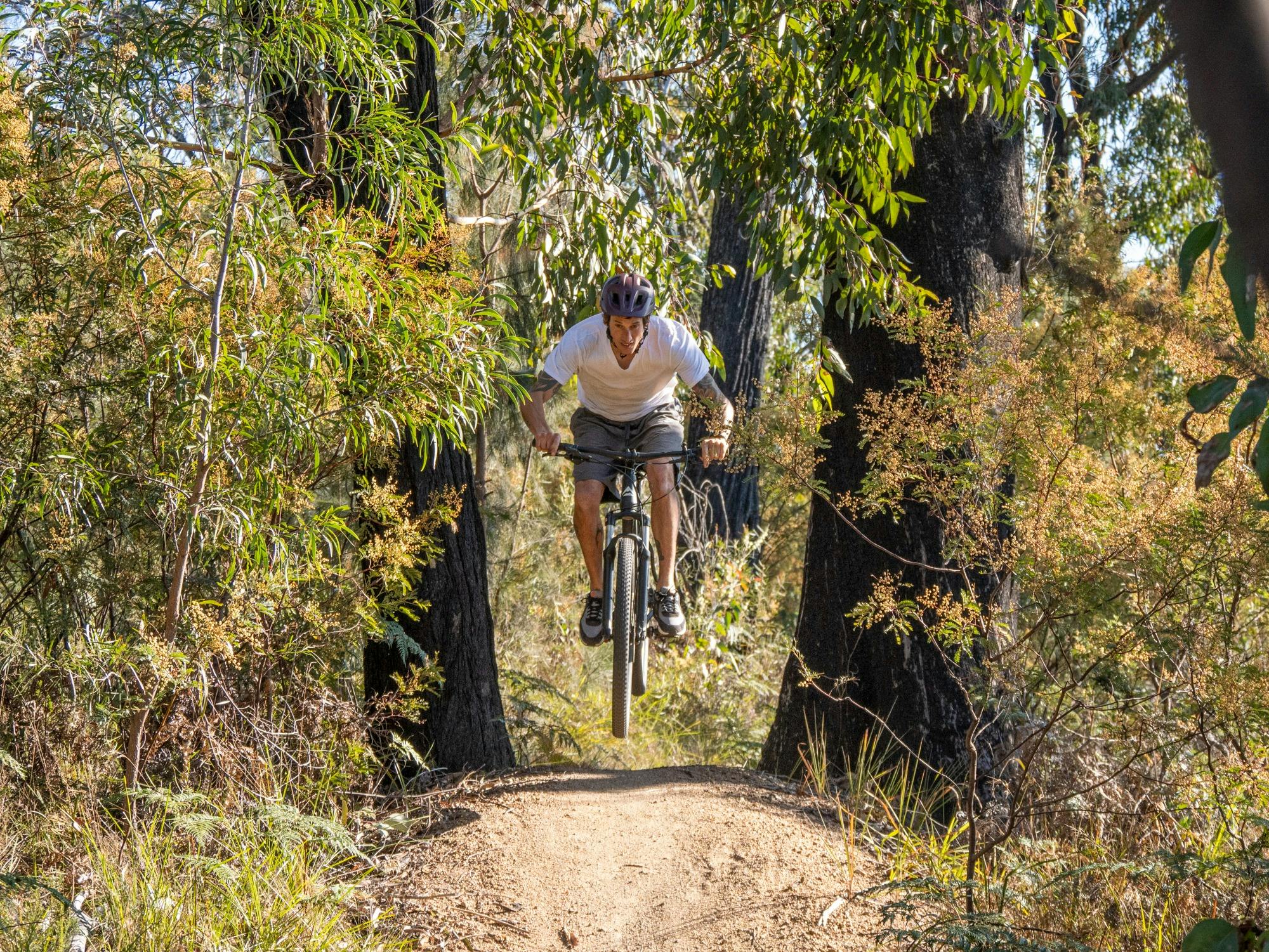 Mountain Bike rider on small jump between two black trees