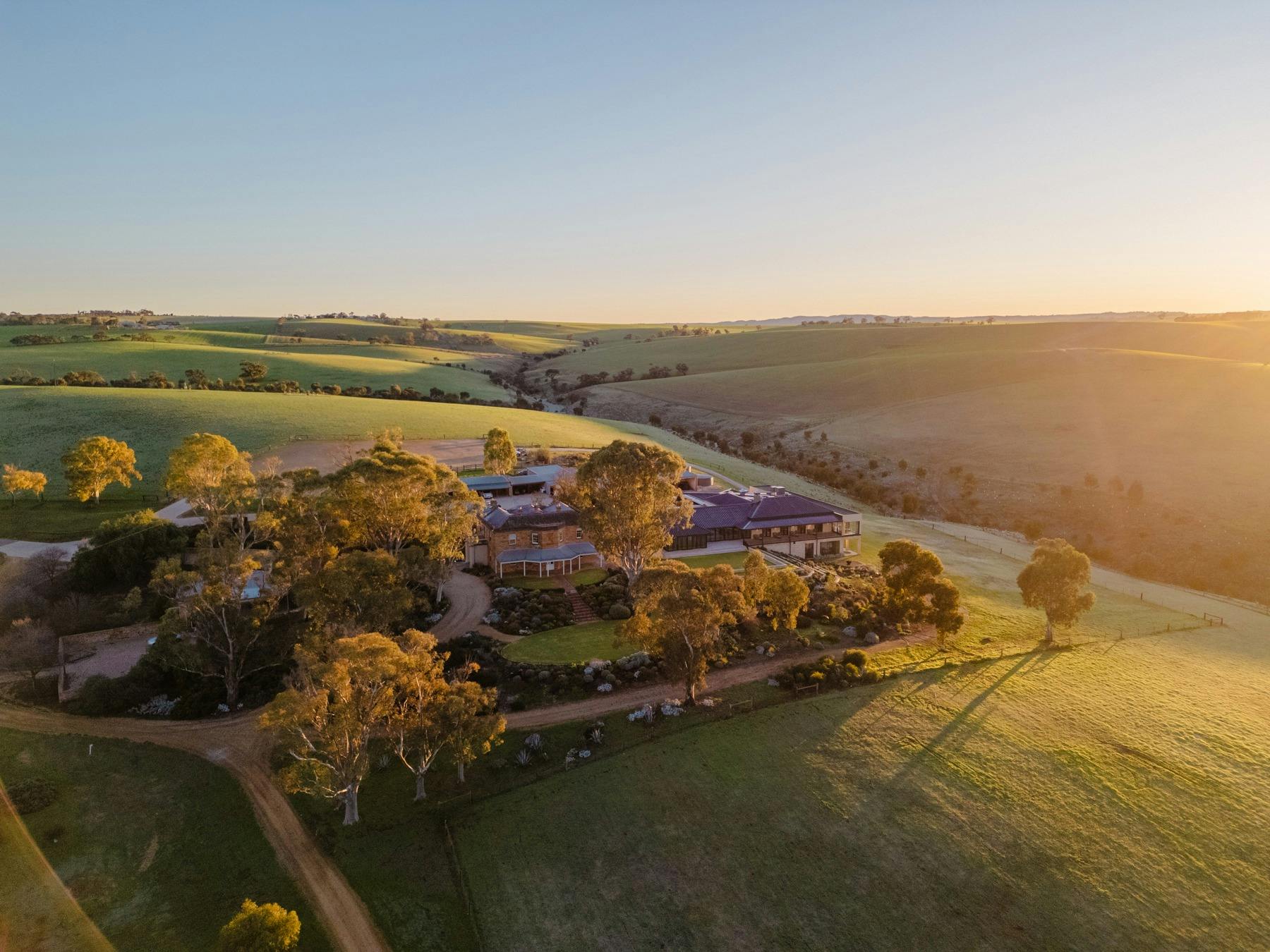 Kingsford’s Foraging Feast – Tasting Australia