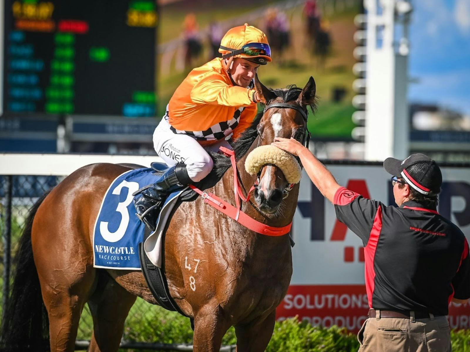Racing at Newcastle Racecourse for Newcastle Stakes