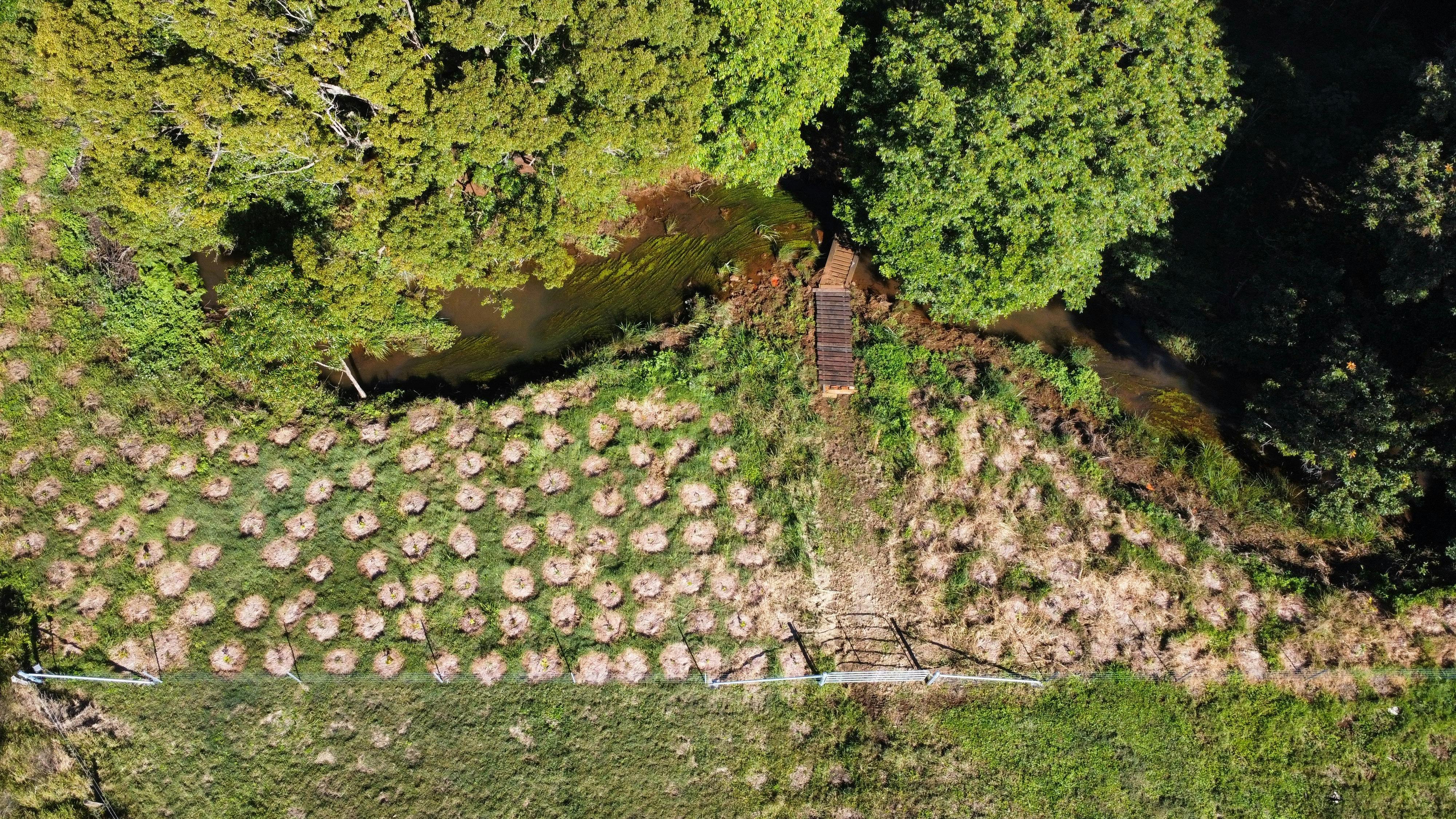 An aerial image of Emigrant Creek in the Richmond Catchment. Tree planting has occurre along the cre