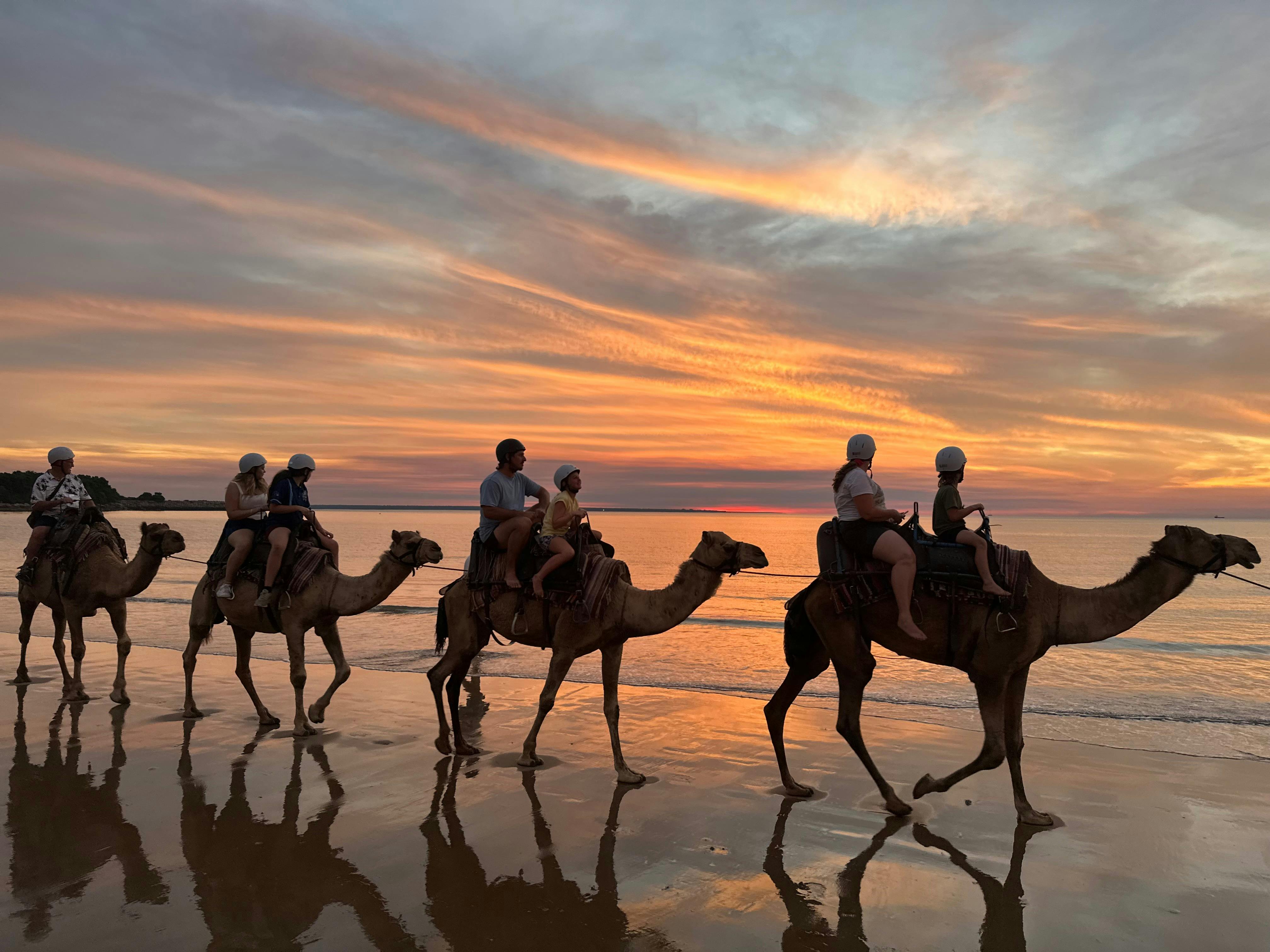 Darwin Camel Rides