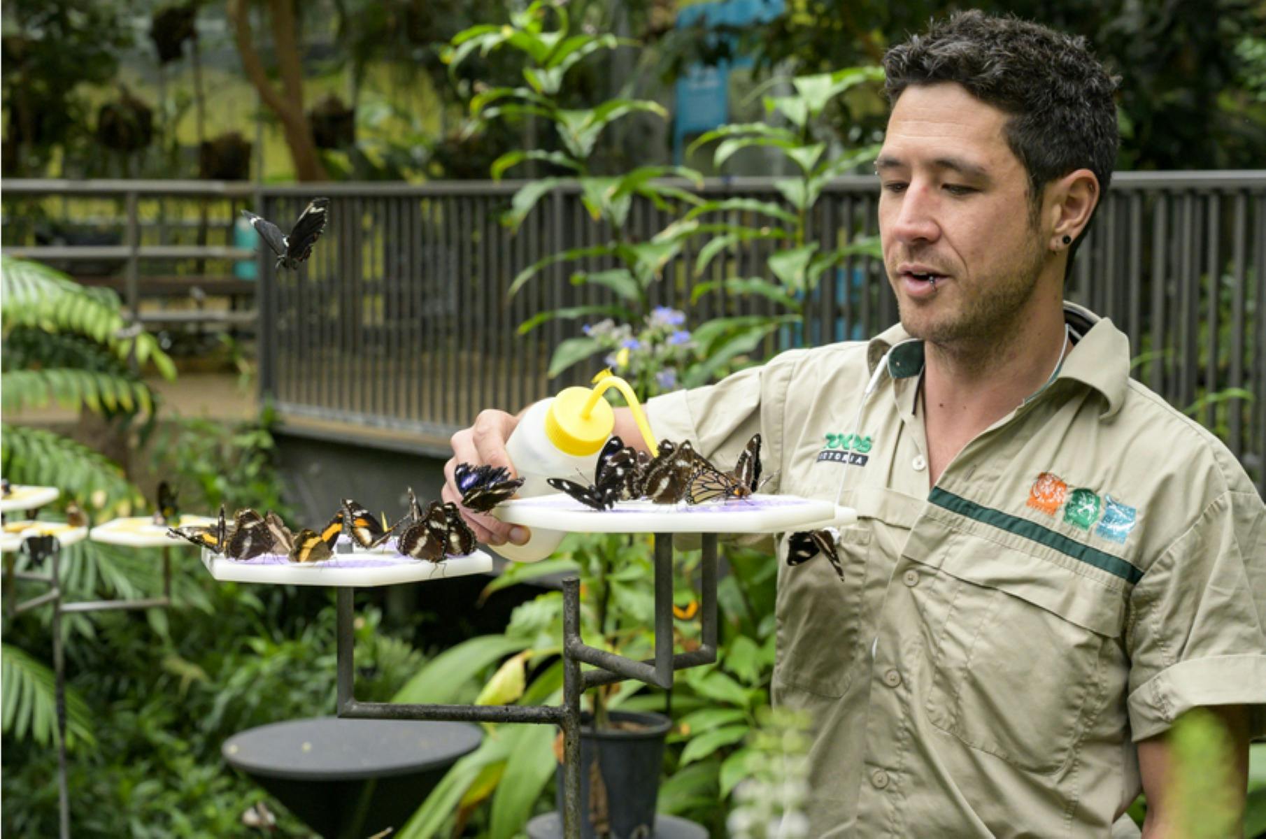 Ultimate Experience at Melbourne Zoo