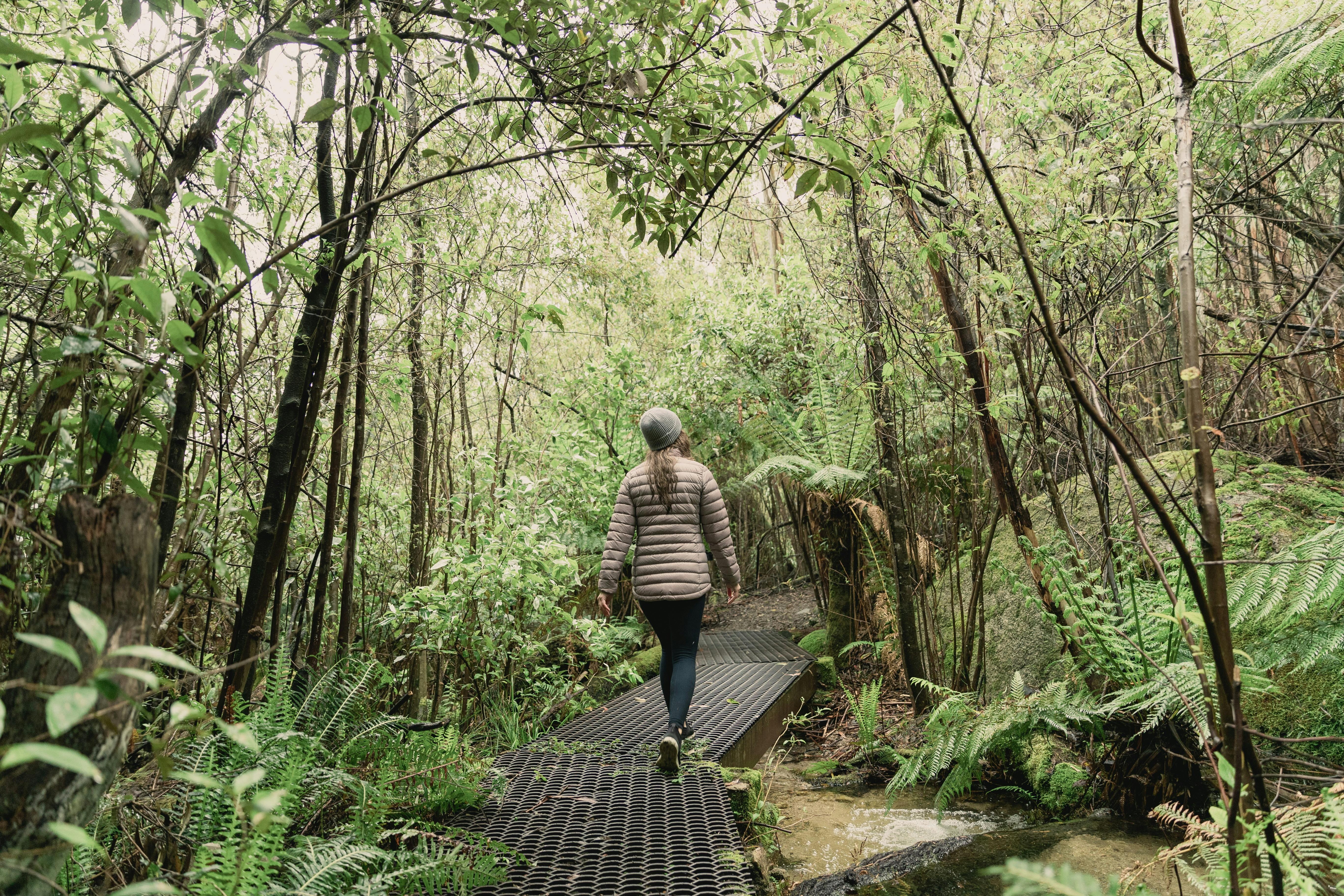 Woman walking along forest pathway surrounded by green ferns and tree canopy