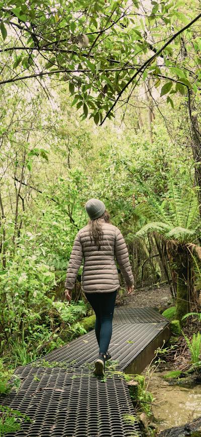 Woman walking along forest pathway surrounded by green ferns and tree canopy
