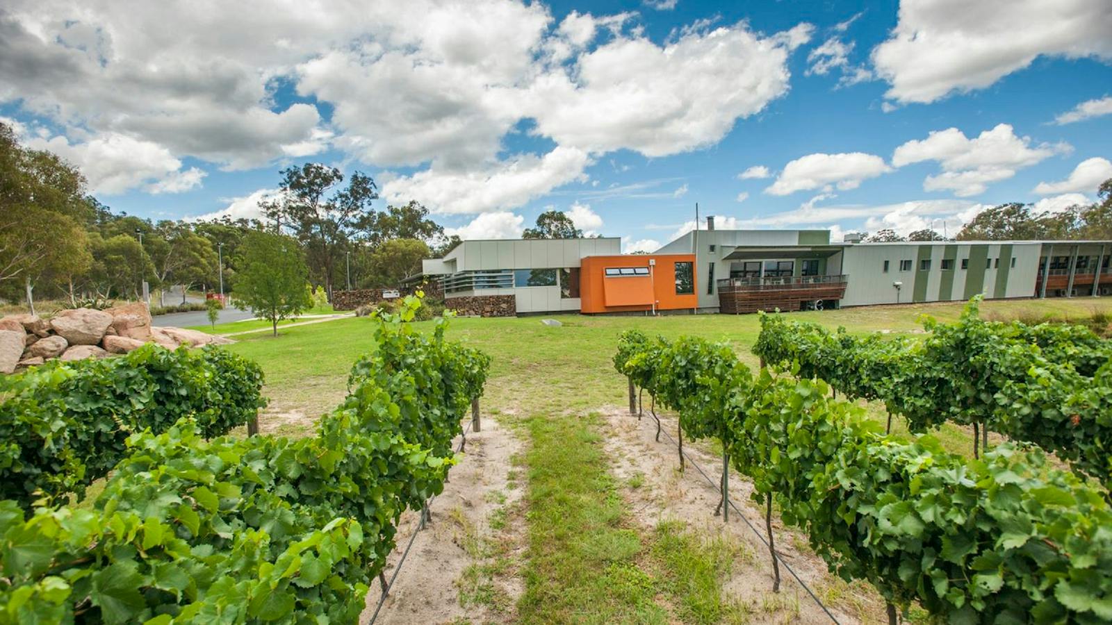 Queensland College of Wine Tourism