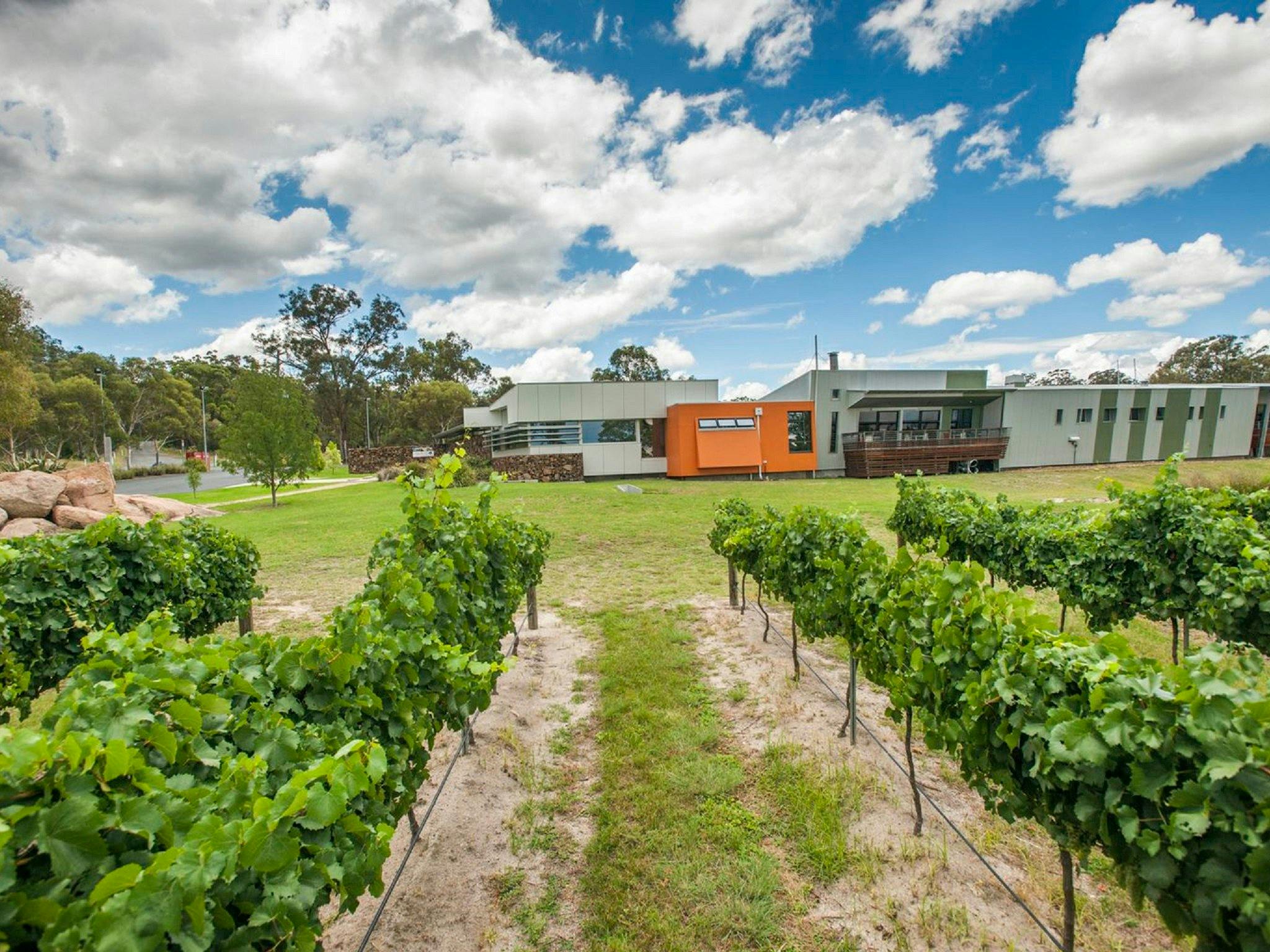 Queensland College of Wine Tourism Queensland College of Wine Tourism