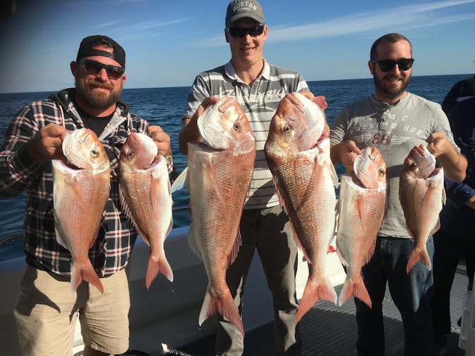 Offshore Snapper Fishing Charters