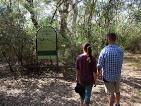 path, interpretive signage, map of walks, trees, native plants, people looking at sign