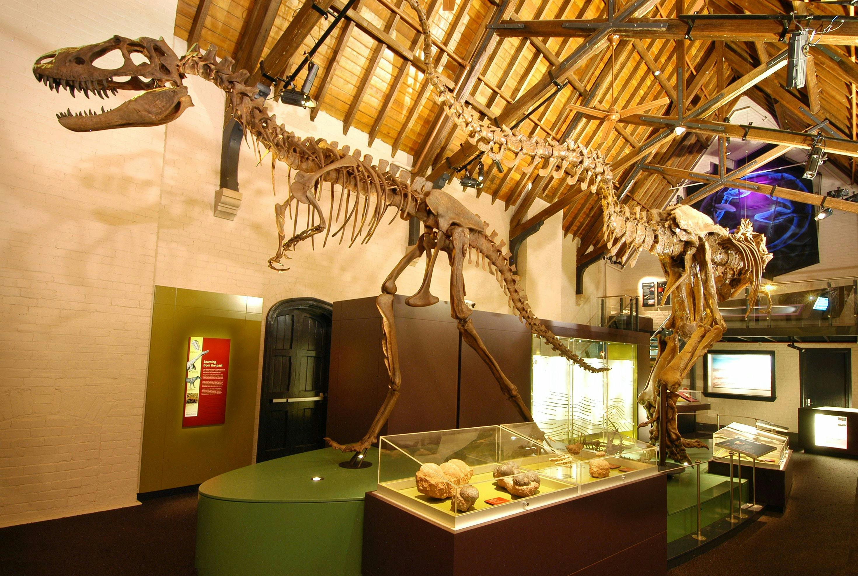 Australian Fossil And Mineral Museum | NSW Holidays & Accommodation ...