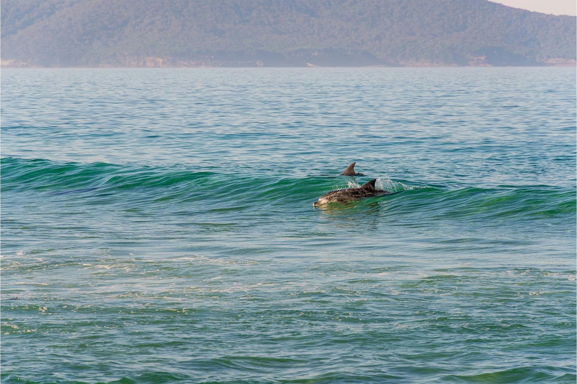 Nadgee Wilderness, Nadgee, Sapphire Coast