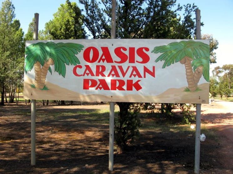 Oasis